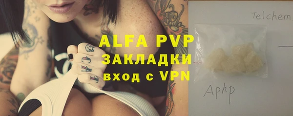 гашик Арсеньев