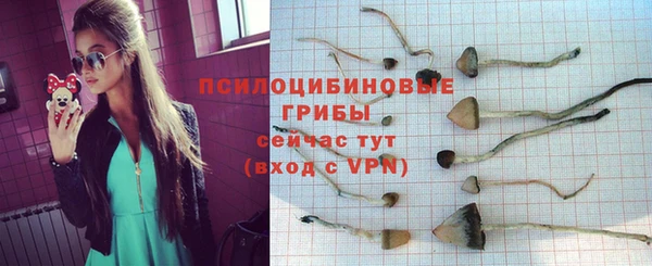 гашик Арсеньев