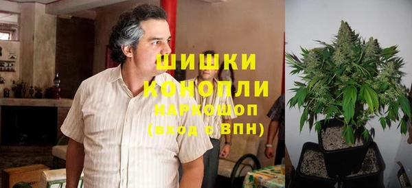гашик Арсеньев